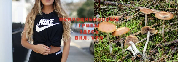 мескалин Алексеевка