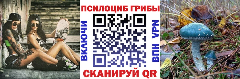 Купить закладки  Гудермес  Галлюциногенные грибы мухоморы 